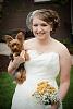 romeo the ring bearer-romeowedding3.jpg
