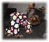 Yorkies in PJs!!-401240_1812520249622_1084530995_n.jpg