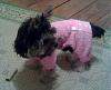 Trixie's First PJ's-imag0535.jpg