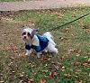 Zachary in His New Coat-2.jpg