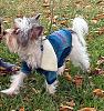 Zachary in His New Coat-3.jpg