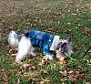 Zachary in His New Coat-4.jpg