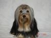 Princess Sophie got a tiara-album-7-300-320-x-240-.jpg