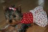 Valentines outfit I made-img_1750-small-.jpg