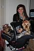 Yorkies trying out Car Seat-dsc_0029.jpg