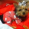 Crimson in her RTR bow & PJs-crim-pj-bow12-1.jpg