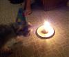 Charlie's Birthday Cake-20121202_205926.jpg