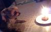 Charlie's Birthday Cake-20121202_205938.jpg