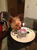 Charlie's Birthday Cake-image.jpg