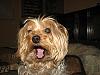Snickers needs a haircut-snickers-3-.jpg
