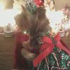 Mandie Modeling Christmas Dresses-christmas2.jpg