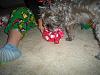 My babies opening Christmas presents-102_6118.jpg