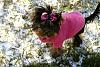 Superbowl picks & Allie's first snow-smallieinsnow.jpg