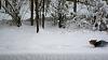 Amazing Winter Picture of Hyke-dsc_0129.jpg