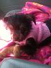 Sophies new sweater-photo-1-n.jpg