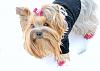 My Snow Baby-dsc_4256_02535-web.jpg