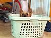 Look what I found in the laundry!!-photo-2-.jpg