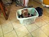 Look what I found in the laundry!!-photo.jpg