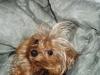 MeSsY HaIr PiCs- Post here-bad-hair-bed-louie-450-x-338-.jpg