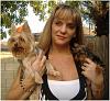 My yorkies with me befor/After Chemo-6600_134020620241_6255665_n.jpg