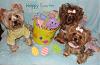 Hoppy Easter!!-easter13b1a.jpg