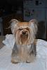 Preparing for Haircut Week-dsc_0131.jpg