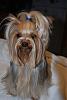Preparing for Haircut Week-dsc_0133.jpg