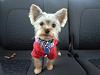 Taka's first hair cut and lily-20130406_175535.jpg