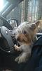 I wanna drive-imag1045_zps8bca3330.jpg