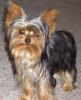 My baby Lacey!-whitney-marie-002222.jpg