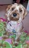 Callie Mae-100_5456.jpg