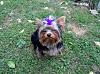 Pretty In Purple-sam_1679.jpg