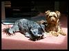 Oscar & Kaiah found a Sunspot-001ab.jpg