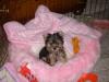 More Pics of Zoey !!-crystal-mystic-zoey-042.jpg