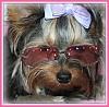 Max & Teeka make their debut!-img_5998rose-colored-glasses-yt.jpg