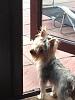 Wee Alfie is growing up-null_zps3ee634c8.jpg