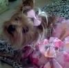 updated pics of zooey and sonny-img_20130706_132406-1.jpg