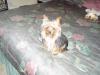From the beginning..before & after YT babies-louie-sitting-bed-400-x-300-.jpg