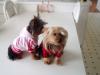 From the beginning..before & after YT babies-louie-bella-kitchen-table-new-shirts-450-x-338-.jpg