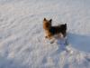 Ramsey's first snow pics-ramsey-snow.jpg