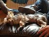 Let's see those nekked furbabies-null_zps8d4f8593.jpg