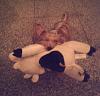 Does your yorkie like HUGE toys?-imag0508.jpg