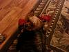 Does your yorkie like HUGE toys?-6a3ef0e5f29c90e4d9c8084633a09c5b_zps715c712d.jpg