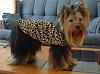 Chloe's a Cheetah-chloe-cheetah-coat.jpg