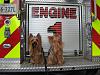 Max & Teddy at the Fire House-fire-engine-1.jpg