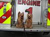 Max & Teddy at the Fire House-fire-engine-5.jpg