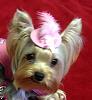 Pink Lady with her New Hat!-pink-lady-4.jpg