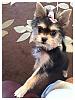 Cherr-bear's first hair cut!-photo-3-2.jpg