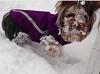 Lola's first snow-snow2.jpg