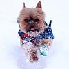 Snow day!-eddie.jpg